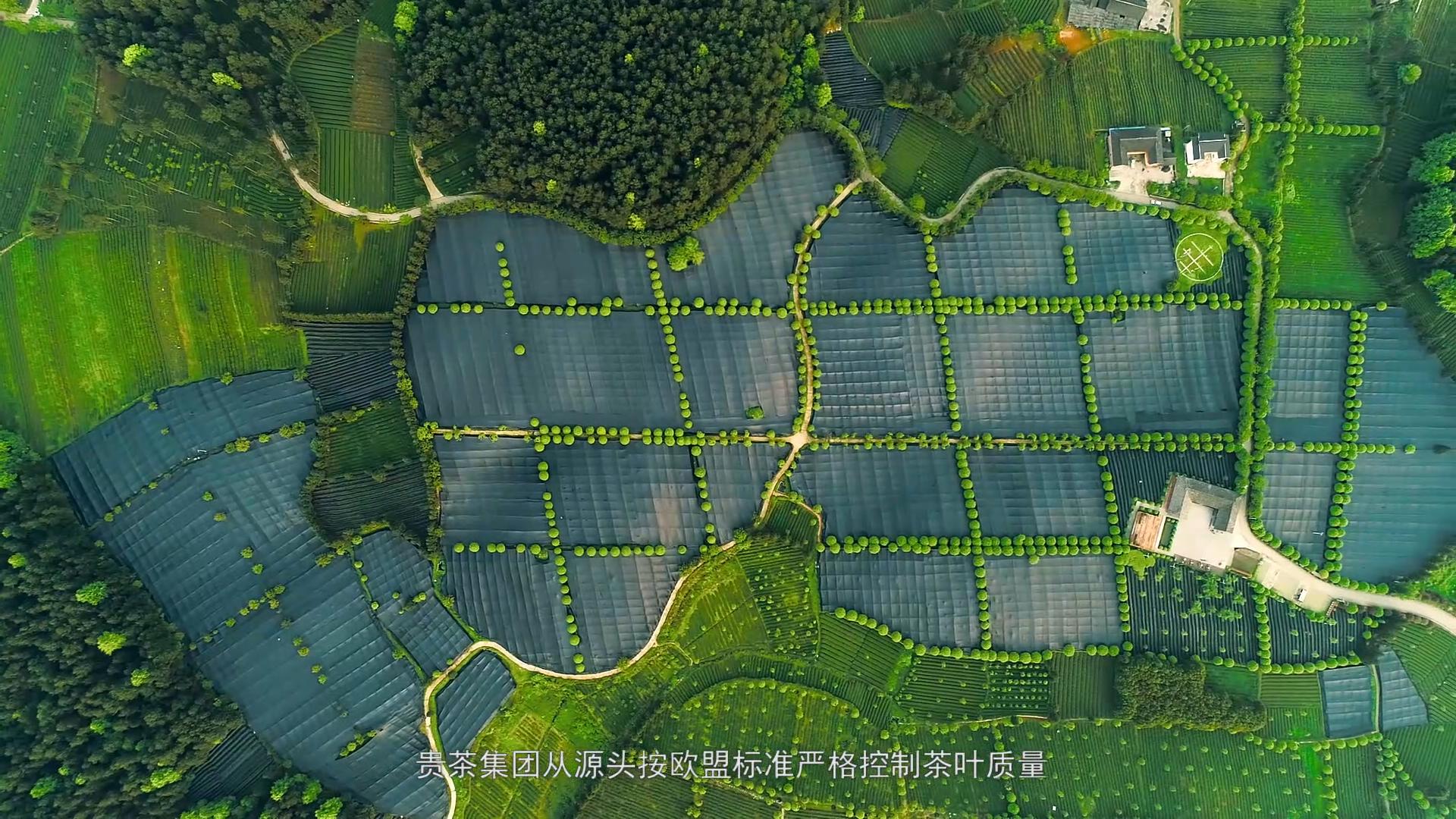 企业宣传片|餐饮宣传片|奶茶品牌宣传片|案例